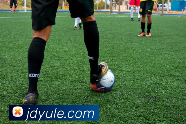 玖鼎贵宾会官网发展历程